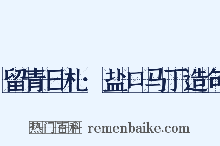 留青日札·盐口马丁造句是什么意思的图片